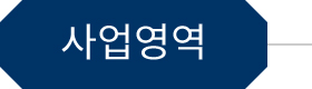 사업영역